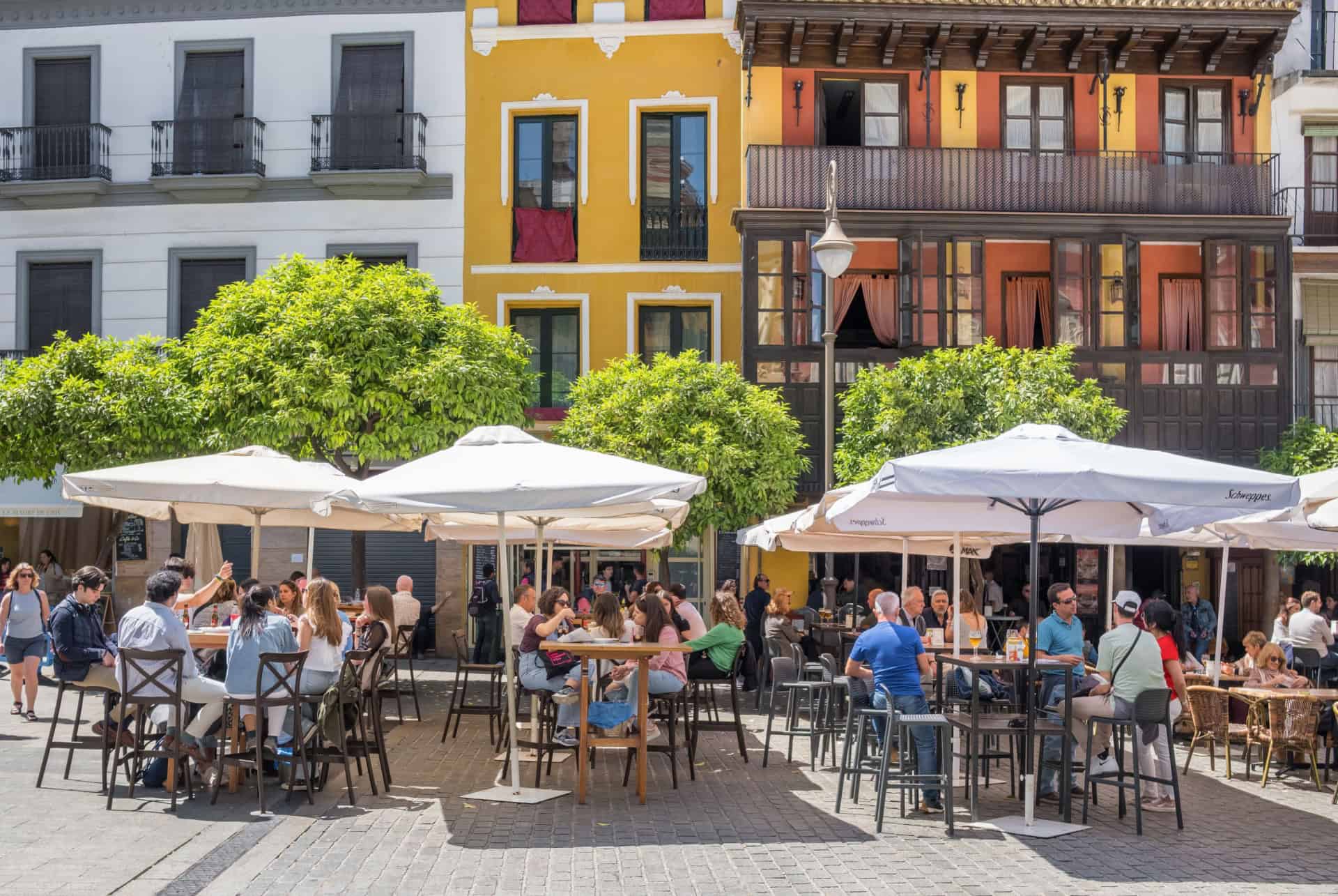 ou manger a seville andalousie ou manger a seville andalousie