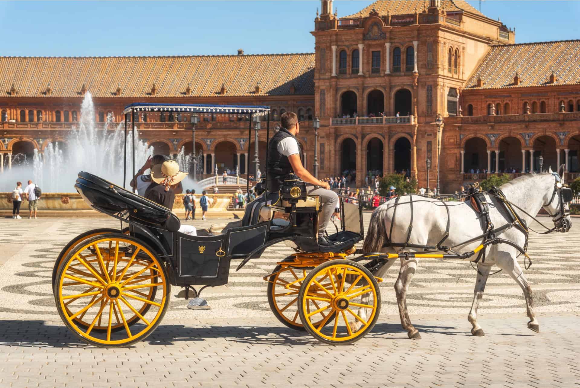 caleche plaza de espana