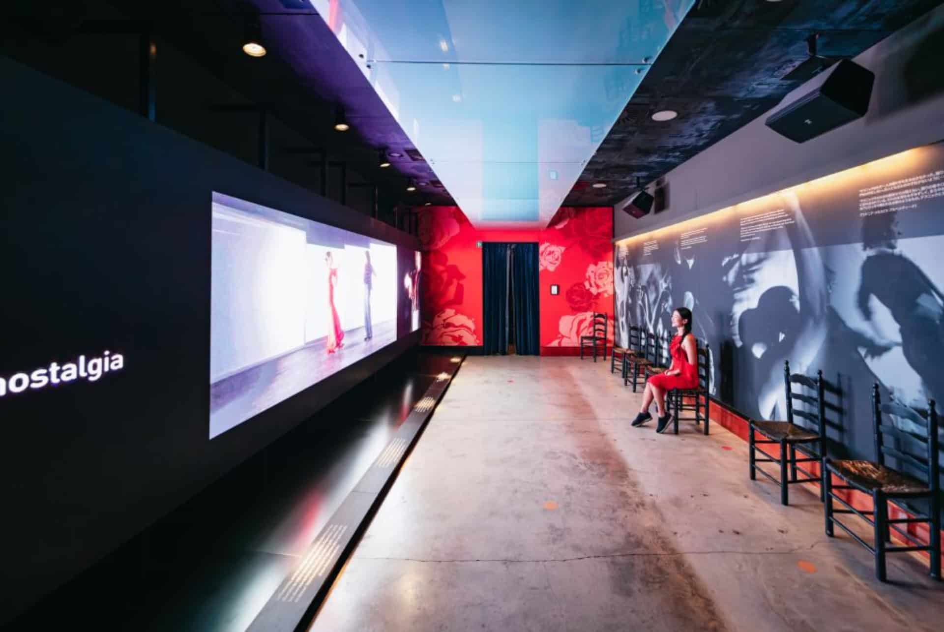 musee flamenco seville
