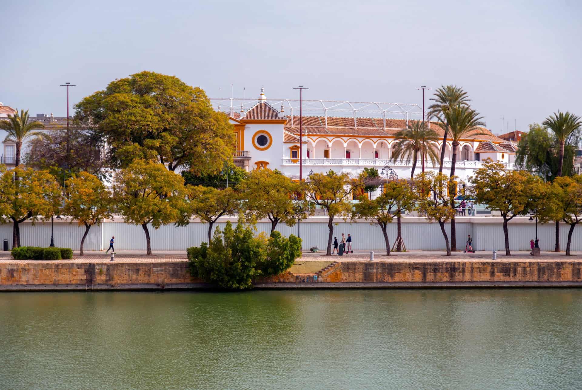 musee real maestranza