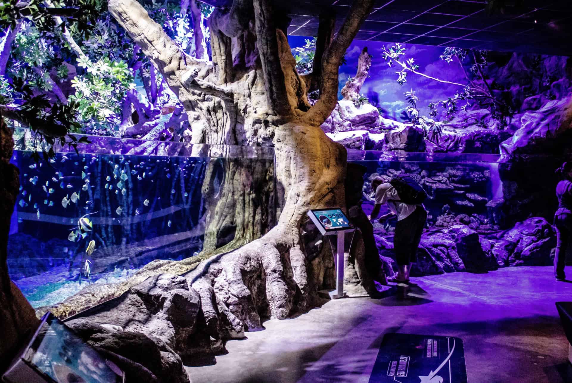 L’Aquarium de Séville