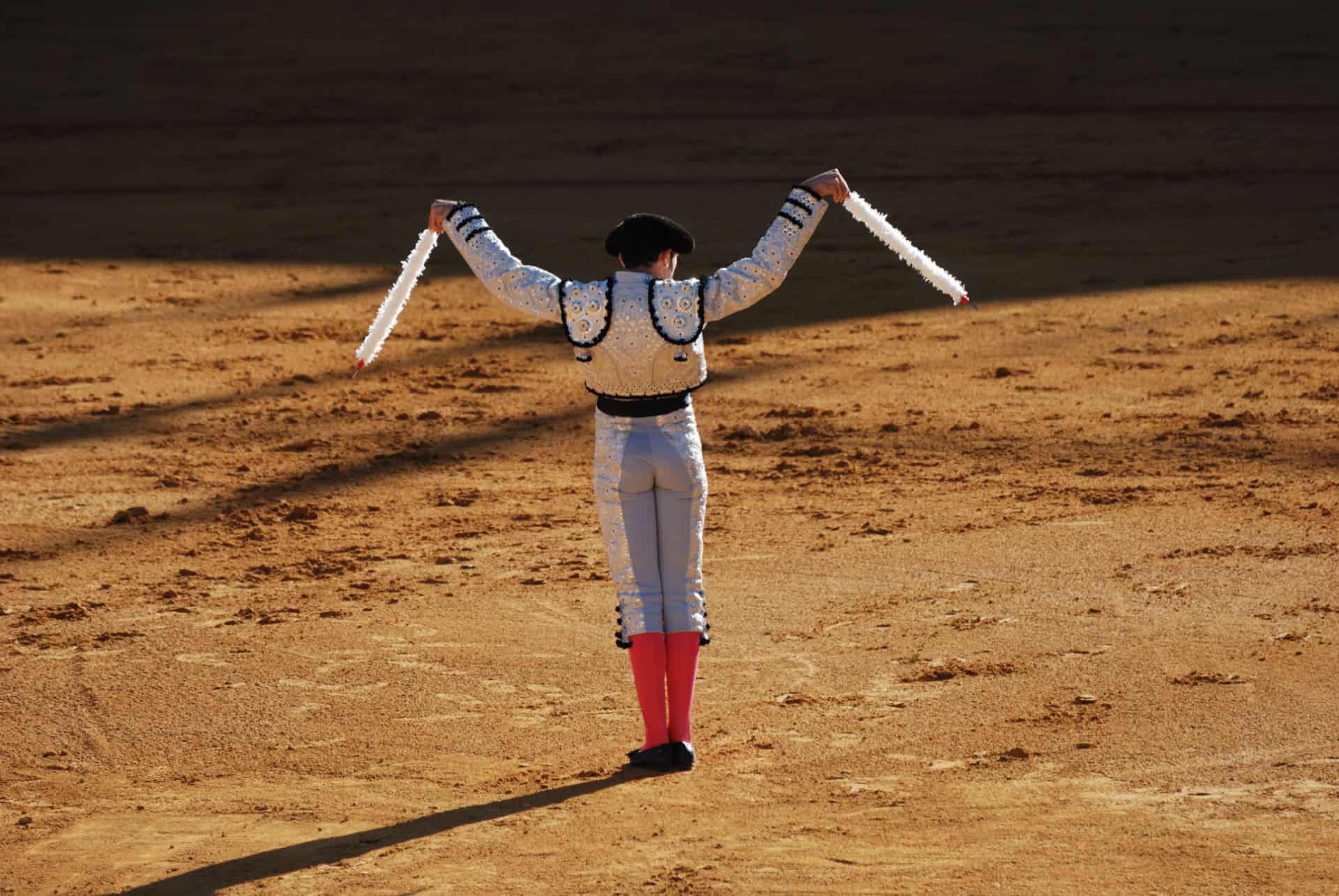 corrida arenes de seville