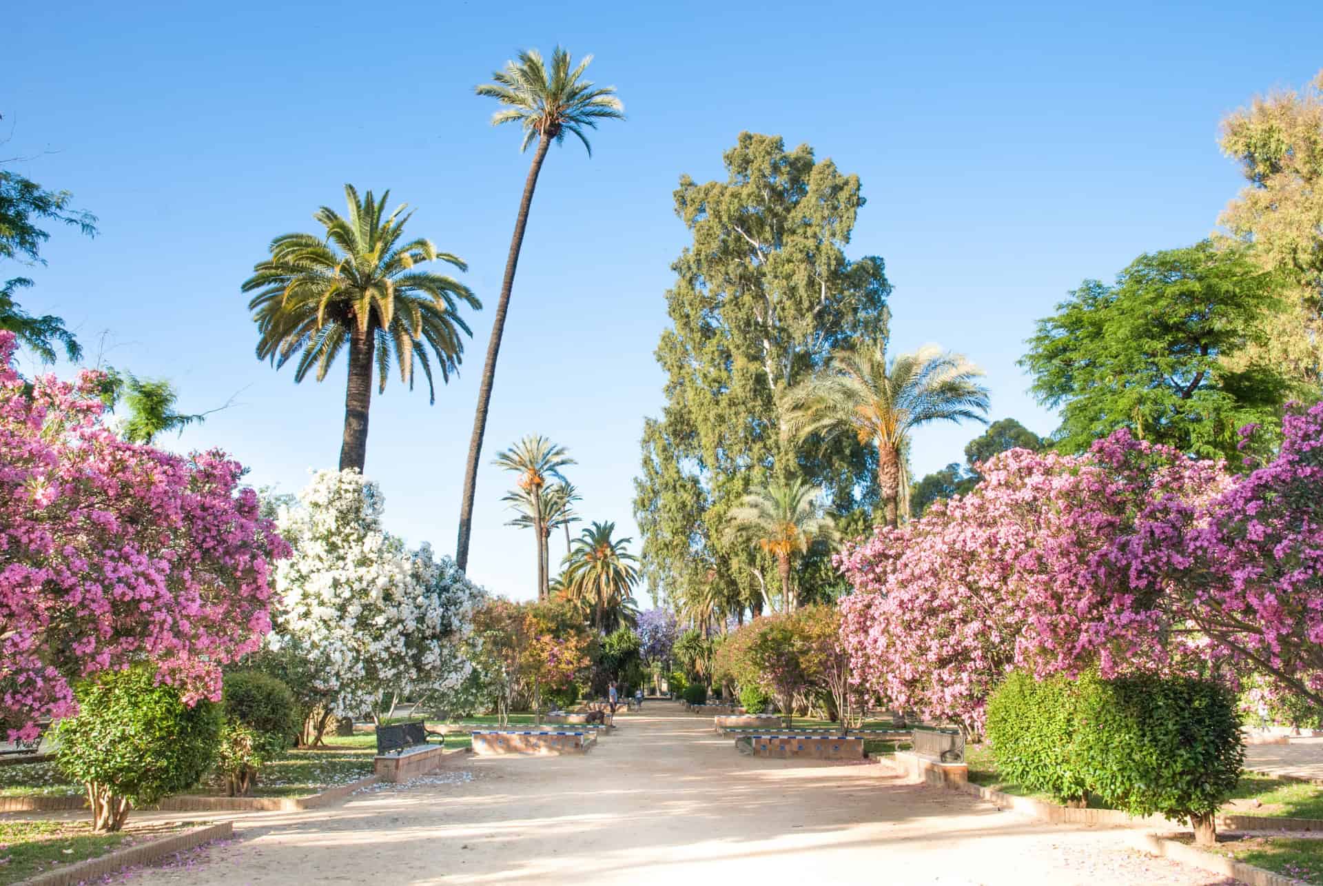 Les jardins de Murillo