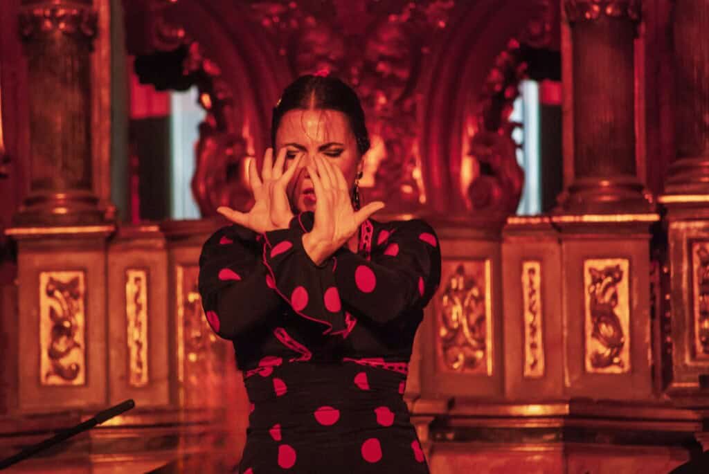 Billet pour un spectacle de flamenco au Tablao Almoraima
