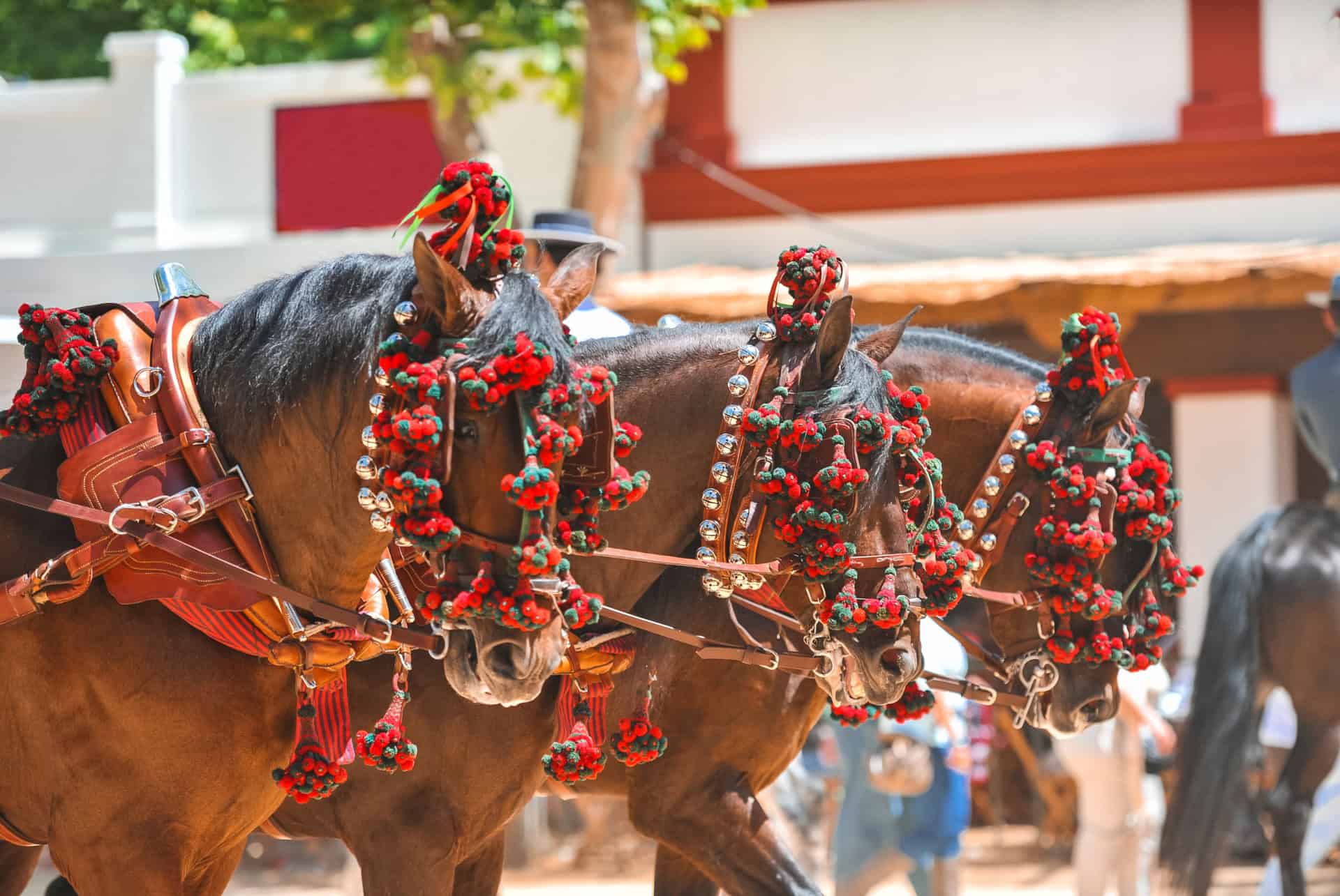 visiter jerez de la frontera depuis séville chevaux andalous jerez