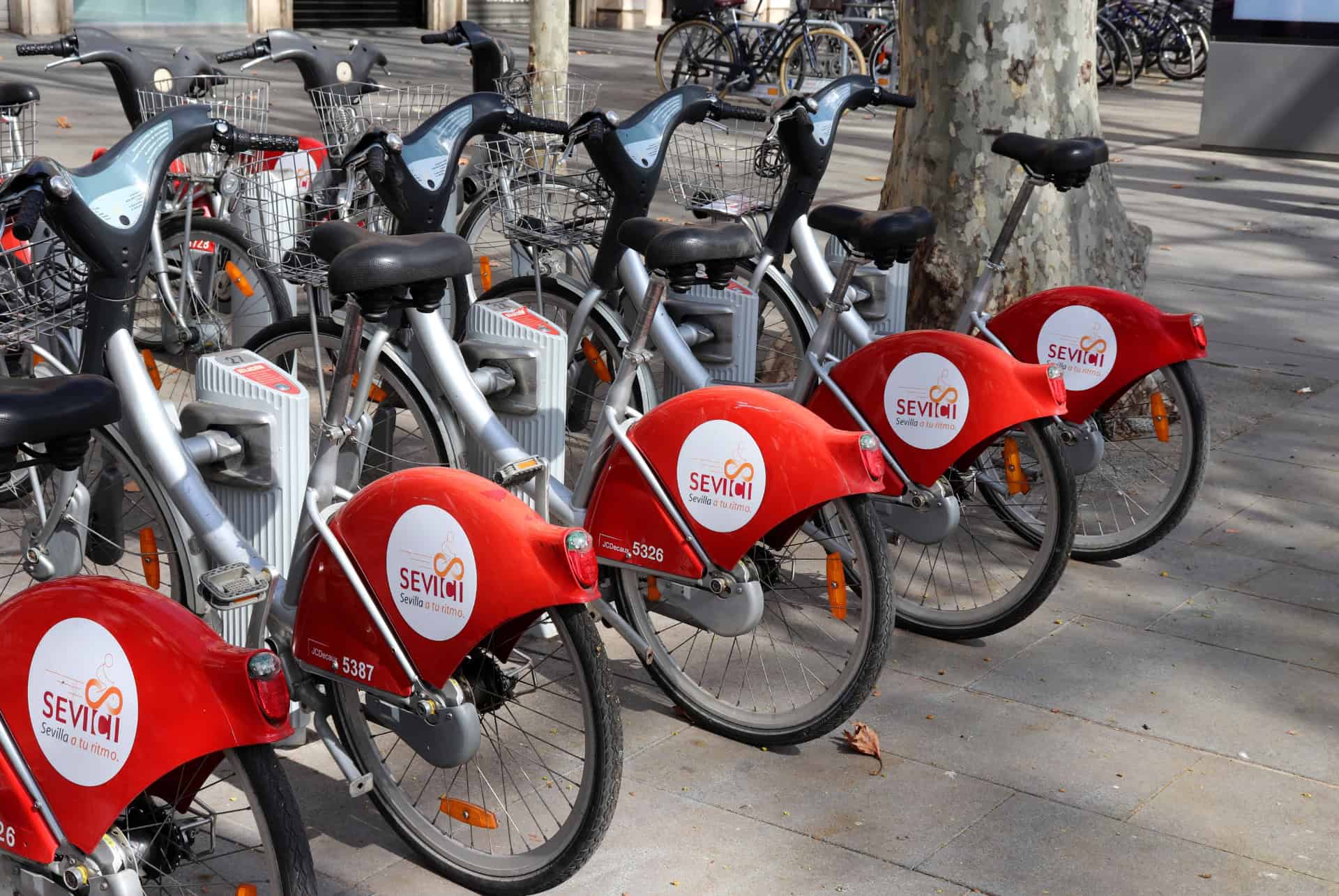 sevici location velo