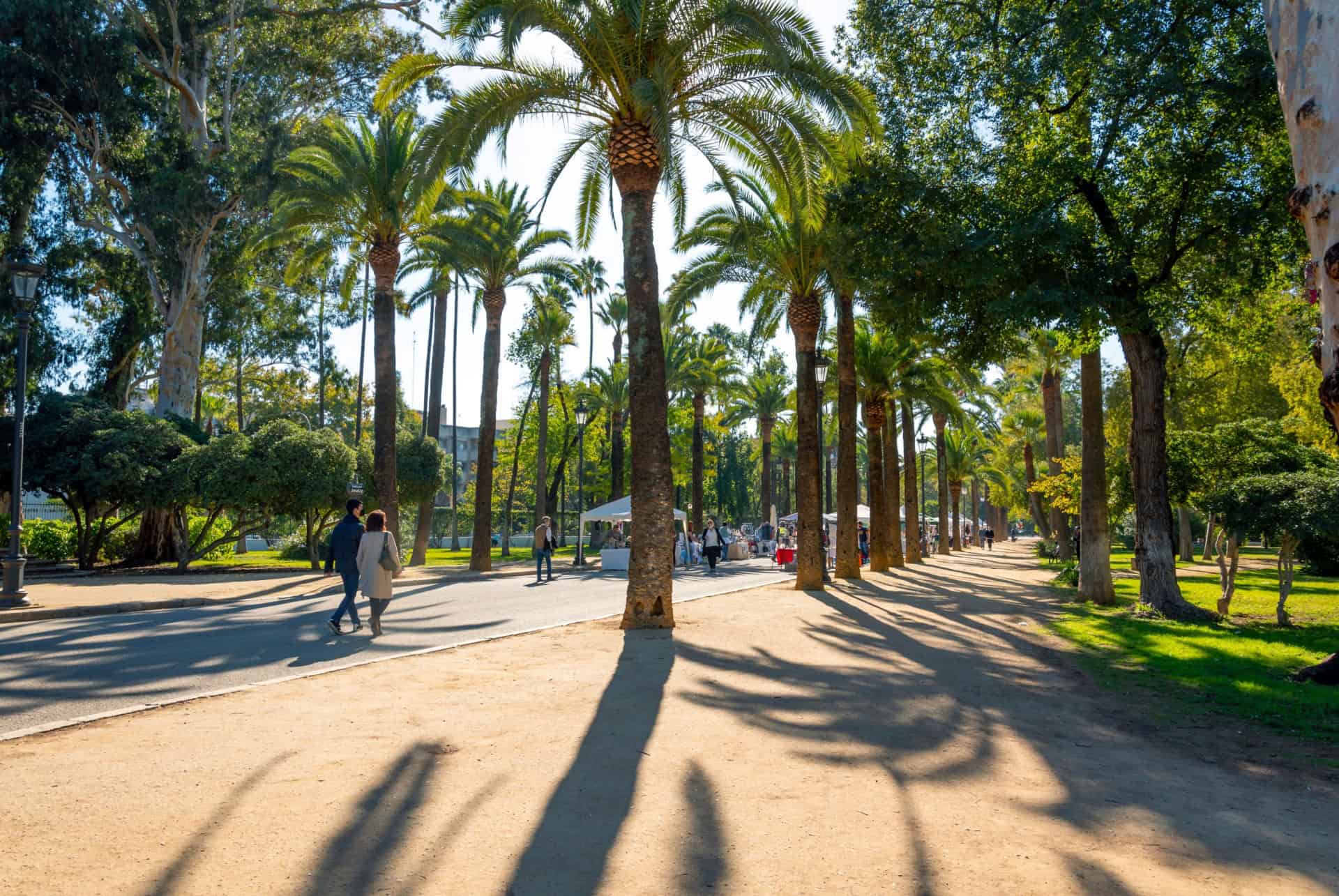 parc maria luisa novembre