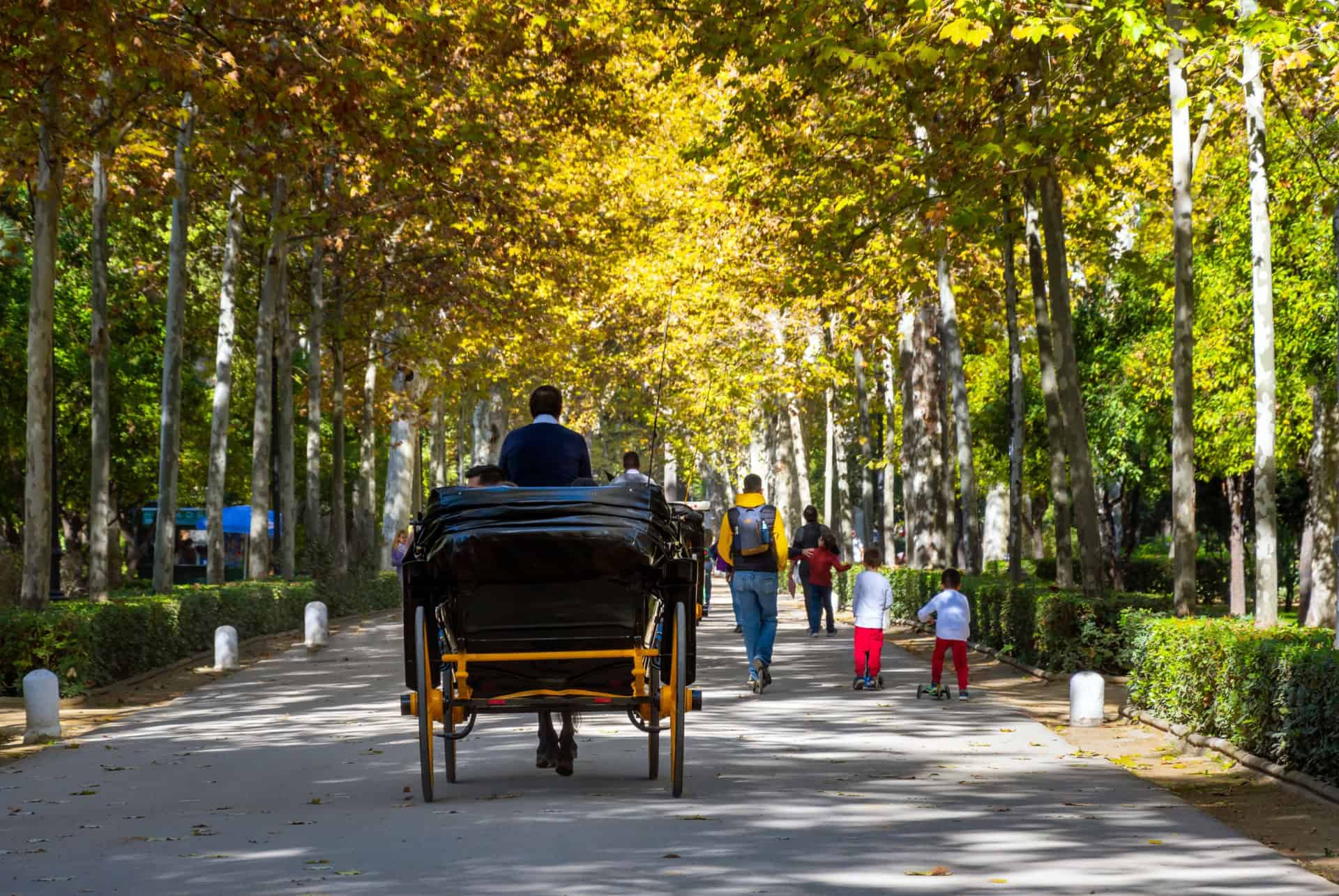 seville en automne