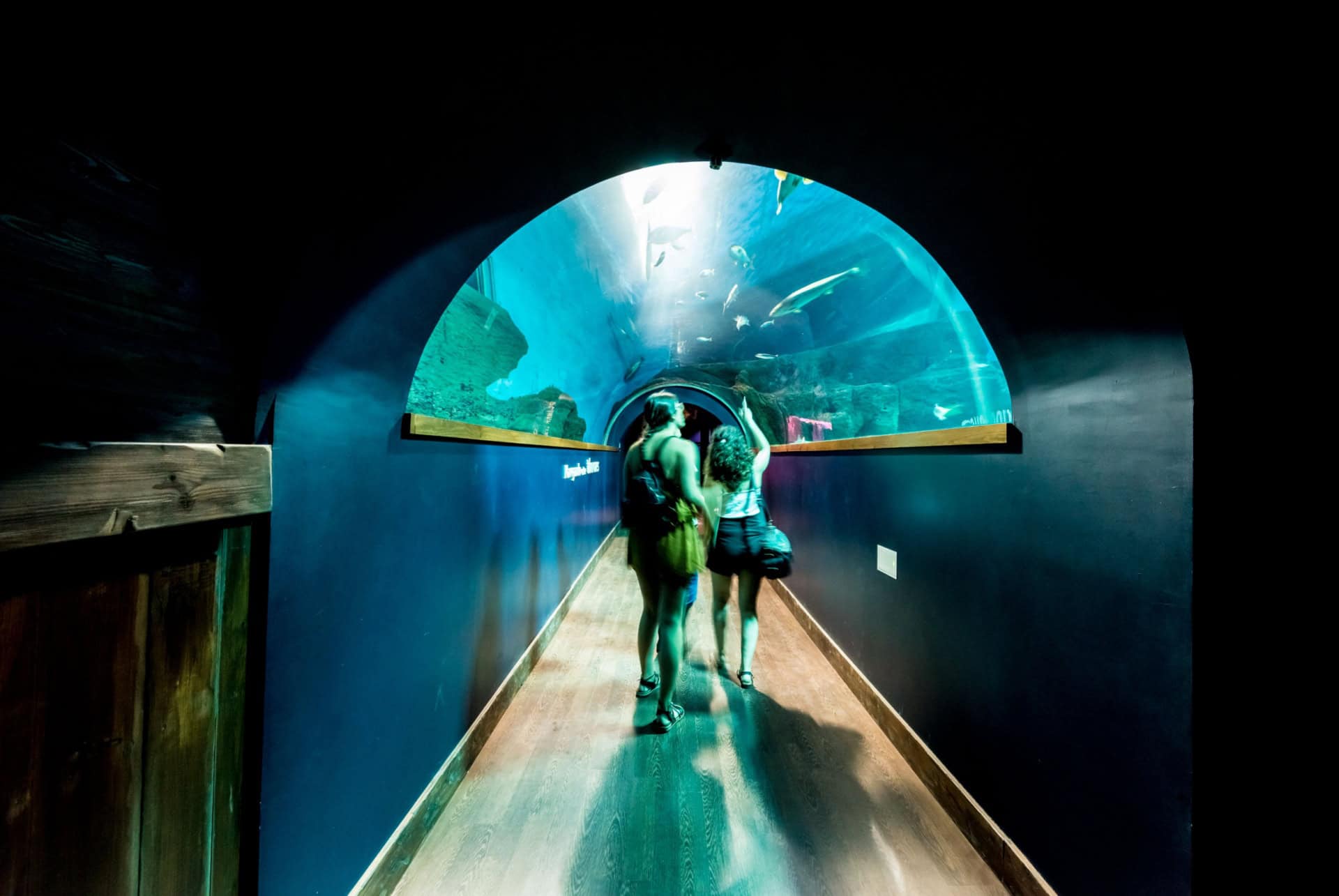 aquarium seville passage avec plafond en verre