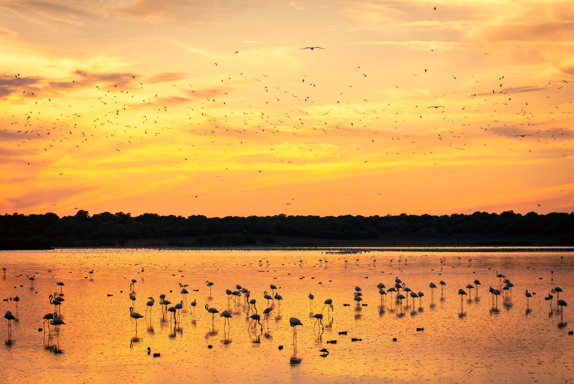 Coucher de soleil dans le parc national de Doñana