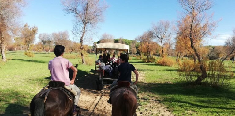 Calèche à travers le parc de Doñana et la Villa