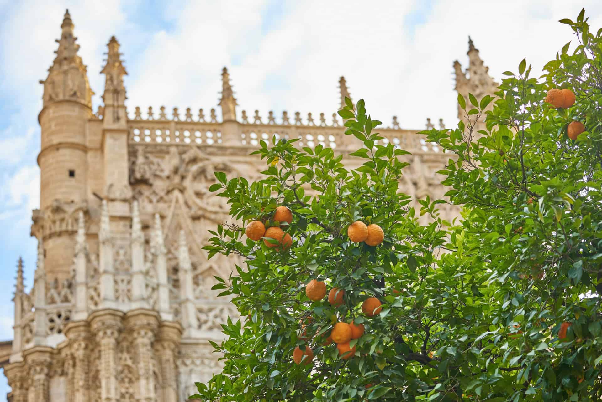 climat seville janvier