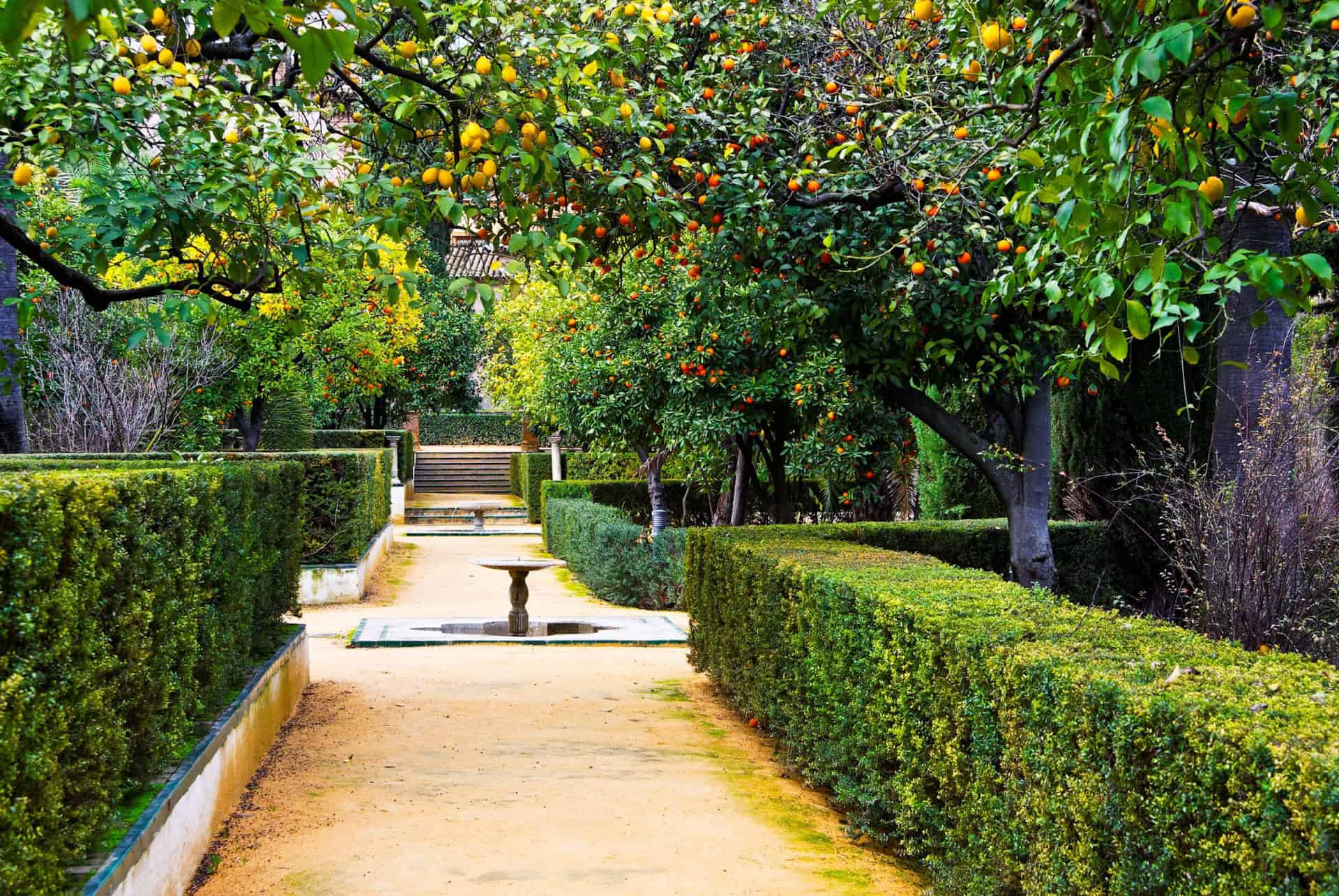 jardins real alcazar seville