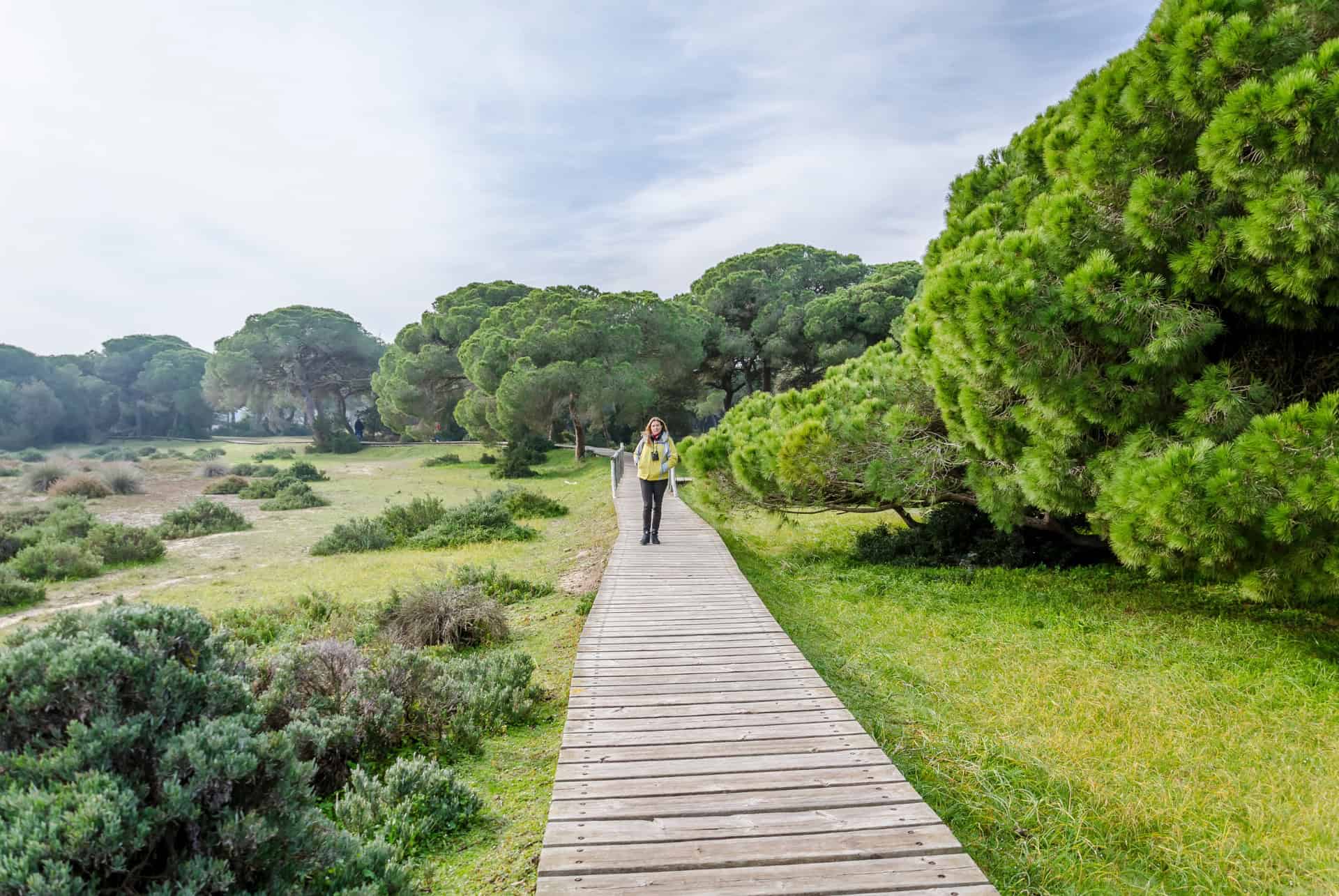 parc naturel de donana