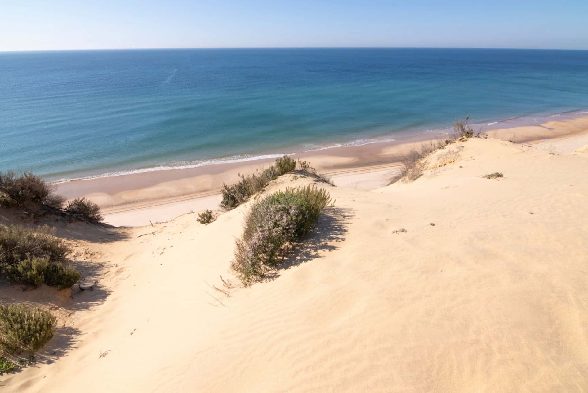 plage parc naturel de donana