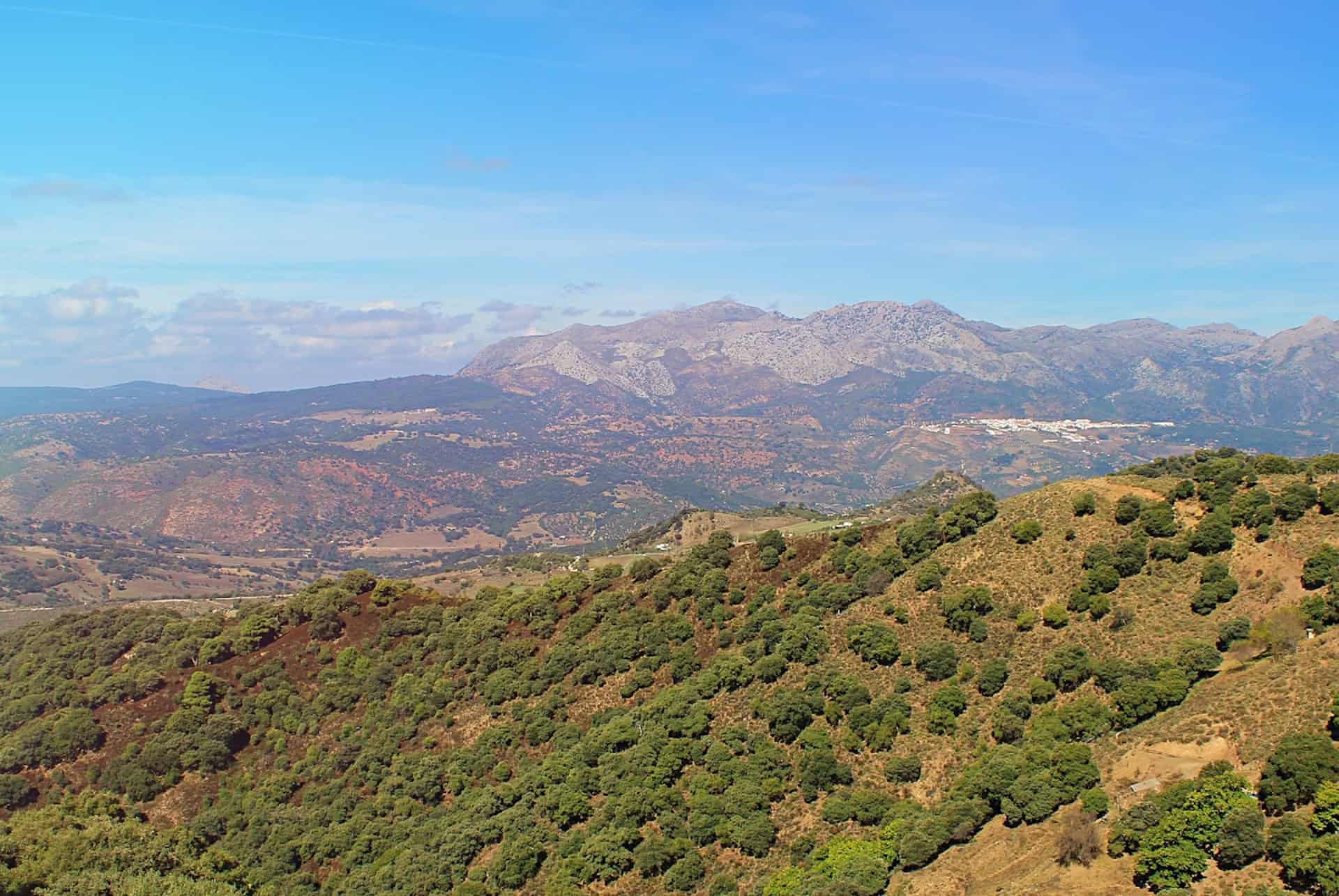 villages blancs et ronda