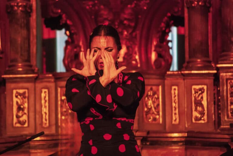 Billet pour un spectacle de flamenco au Tablao Almoraima