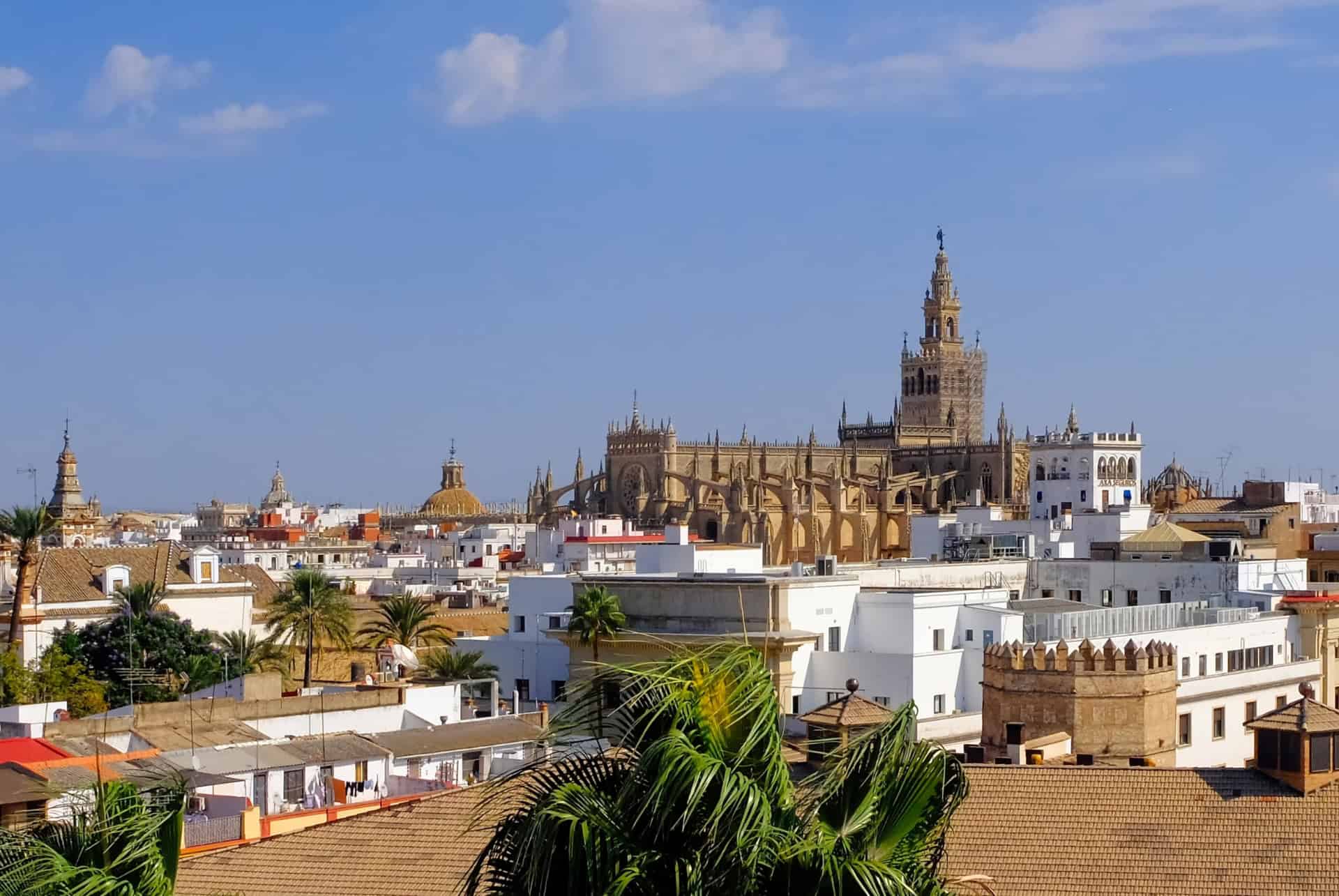 santa maria de la sede seville