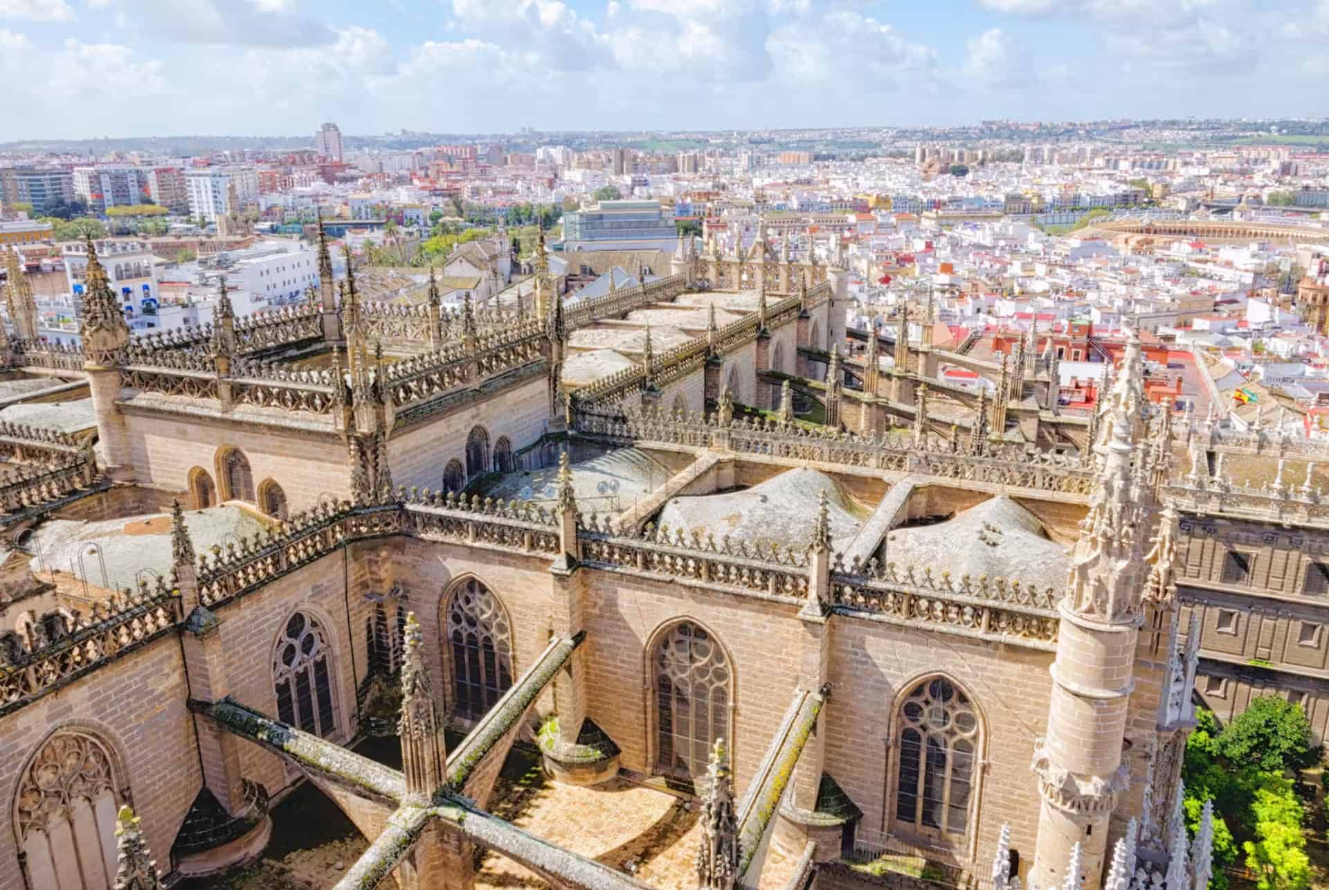 santa maria de la sede