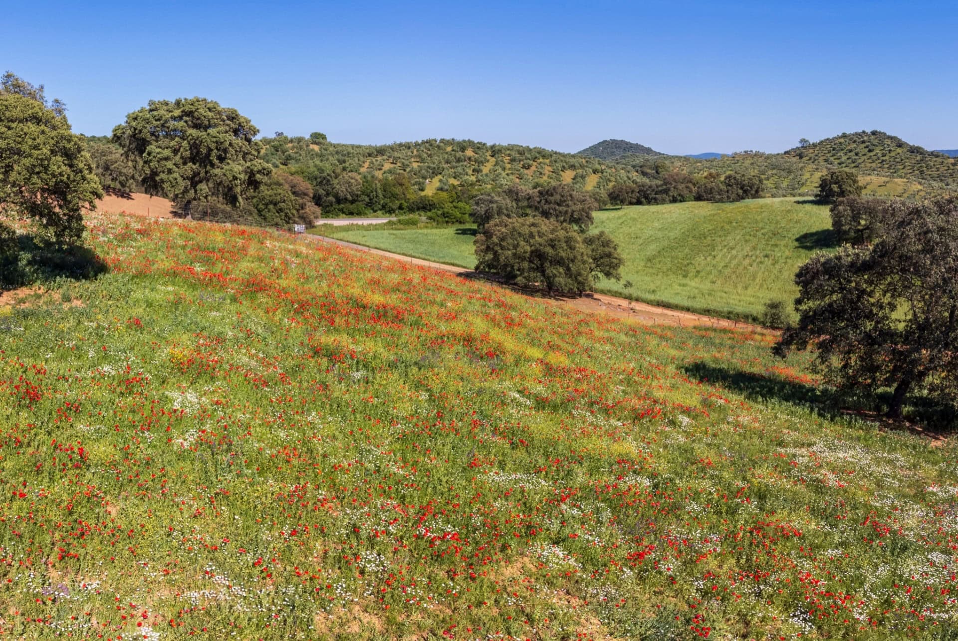 cazalla de la sierra cazalla de la sierra