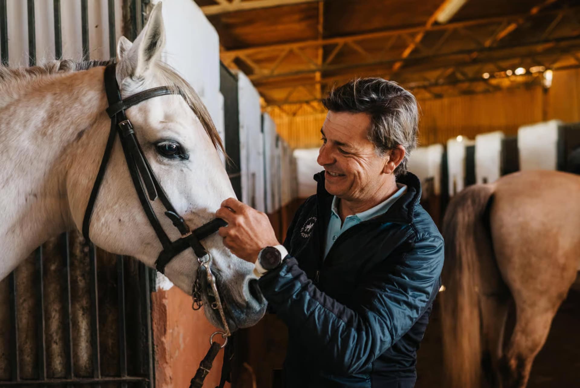 ecurie parc naturel de donana ecurie parc naturel de donana