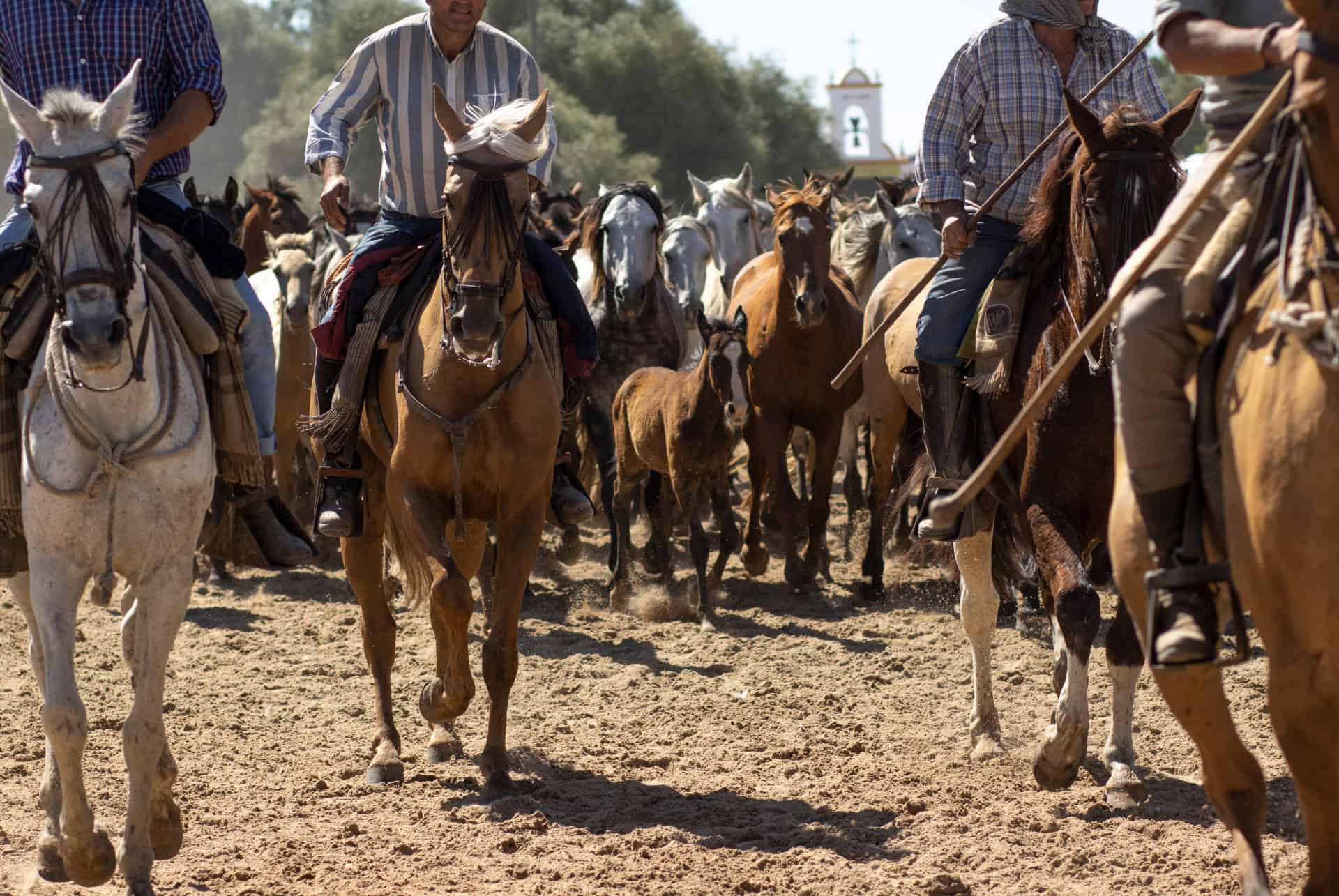 saca de yeguas saca de yeguas