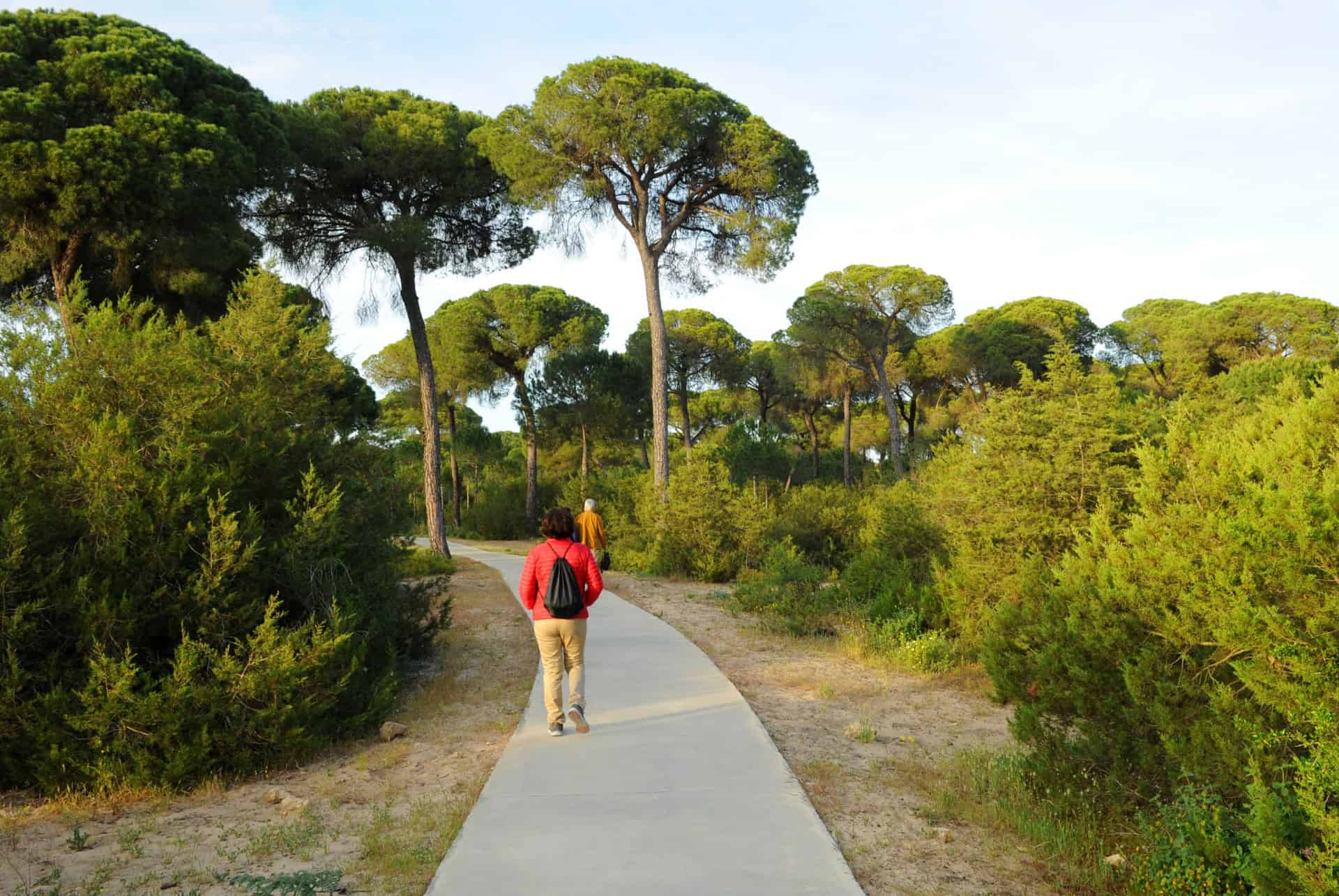 sanlucar de barrameda cadix sanlucar de barrameda cadix