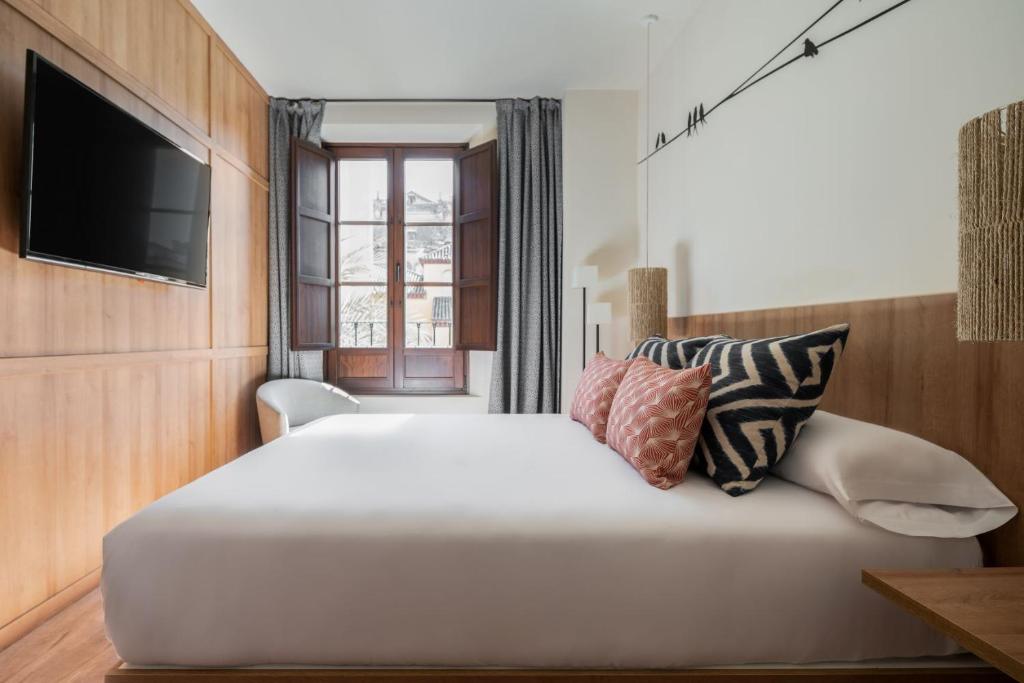 toc hostel toc hostel